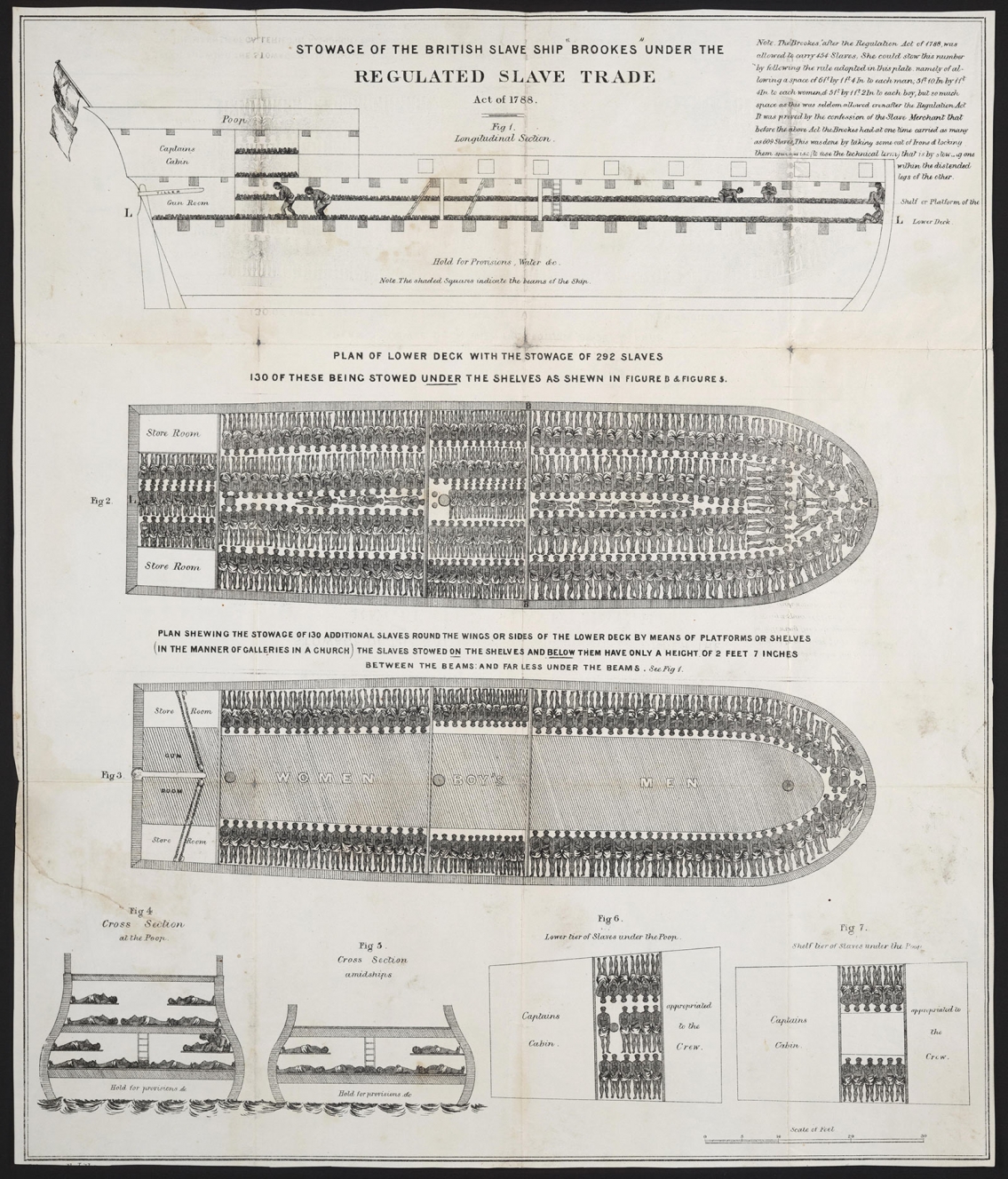 Regulated Slave Trade - Stowage of the British Slave Ship, 1788 Infographic Regulated Slave Trade - Stowage of the British Slave Ship, 1788