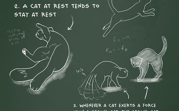 An Illustrated Guide To Cat Physics [Infographic]