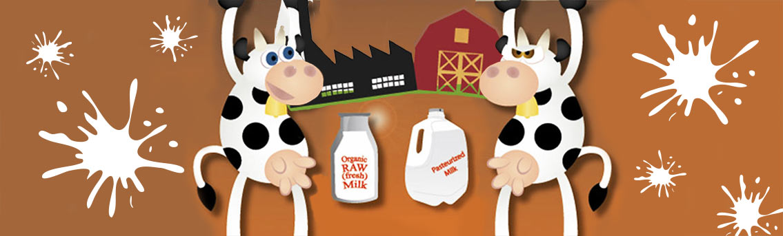 Organic Raw vs Pasteurized Milk