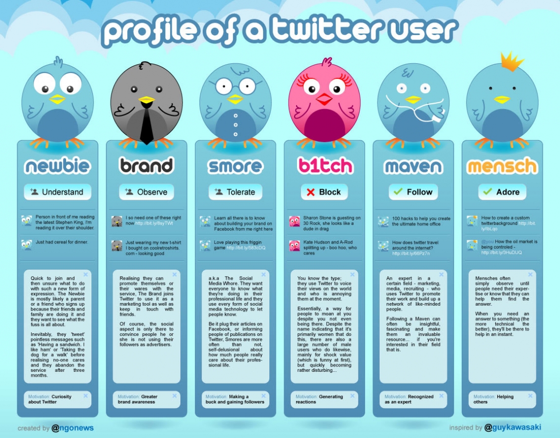 Profile of a Twitter User - Infographic Profile of a Twitter User - Infographic