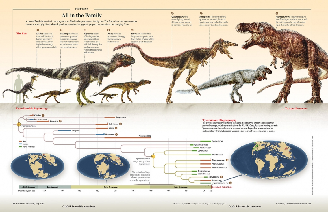 Tyrannosaurs All in the family - Dinosaur Infographic Tyrannosaurs All in the family - Dinosaur Infographic