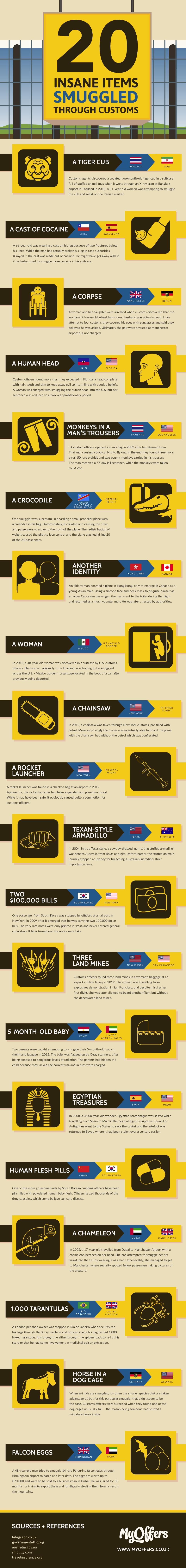20 Insane Items Smuggled Through Customs Infographic