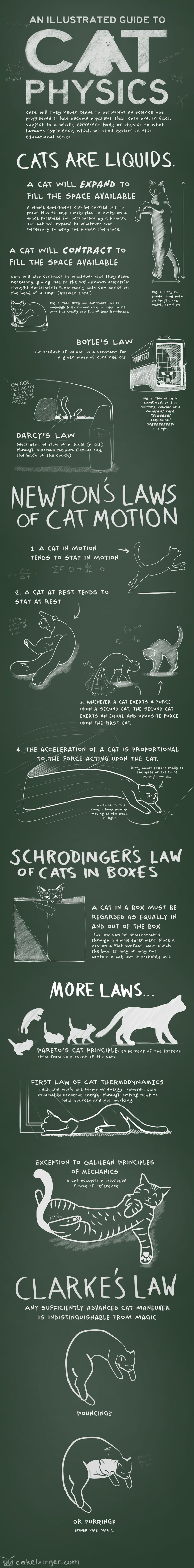 Cat Physics Infographic