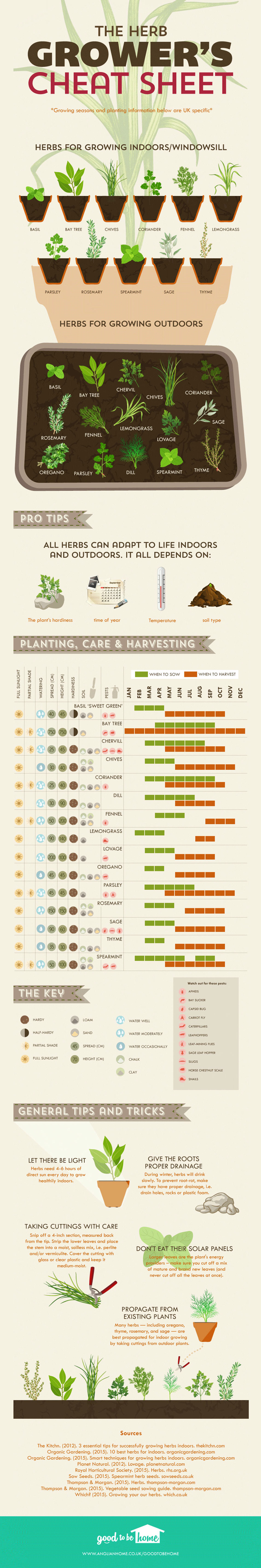The Herb Growers Cheetsheet Infographic