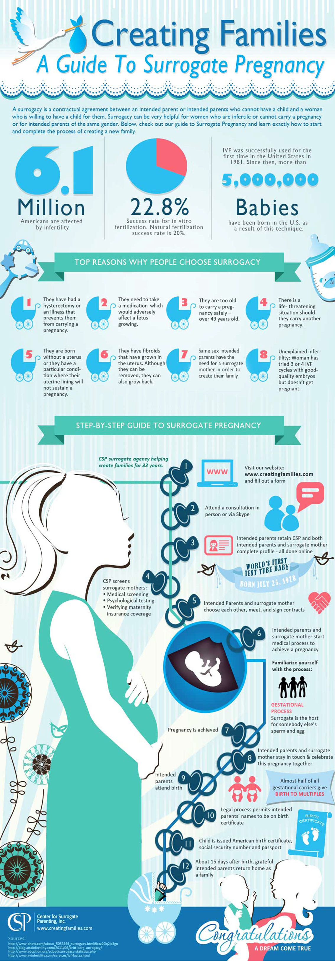 Step by Step Process of Surrogacy Pregnancy Infographic