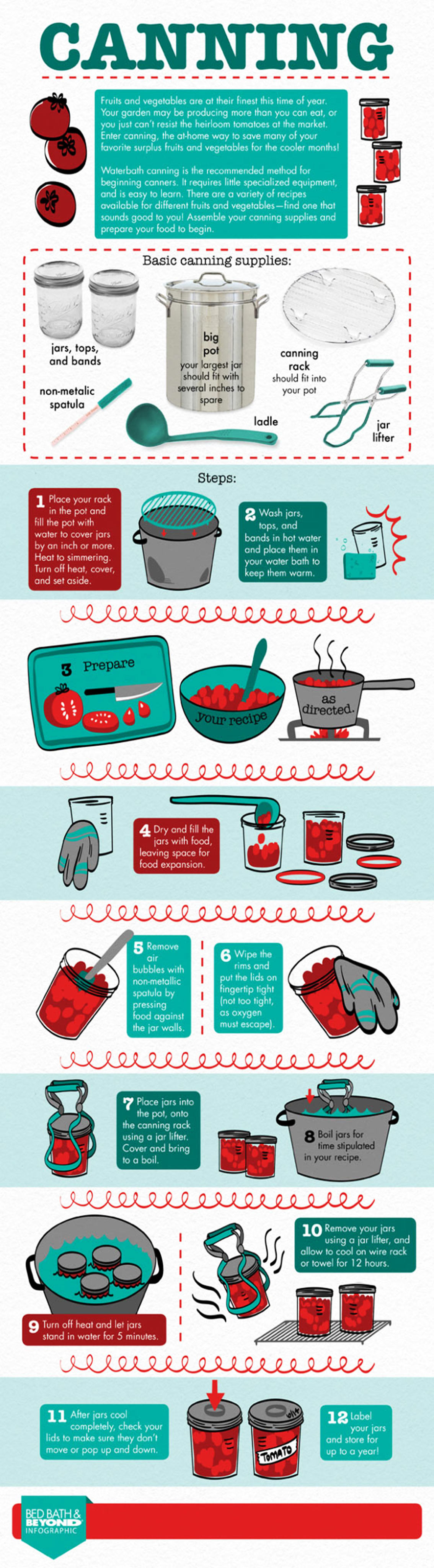 Canning Process for Food Preservation Infographic