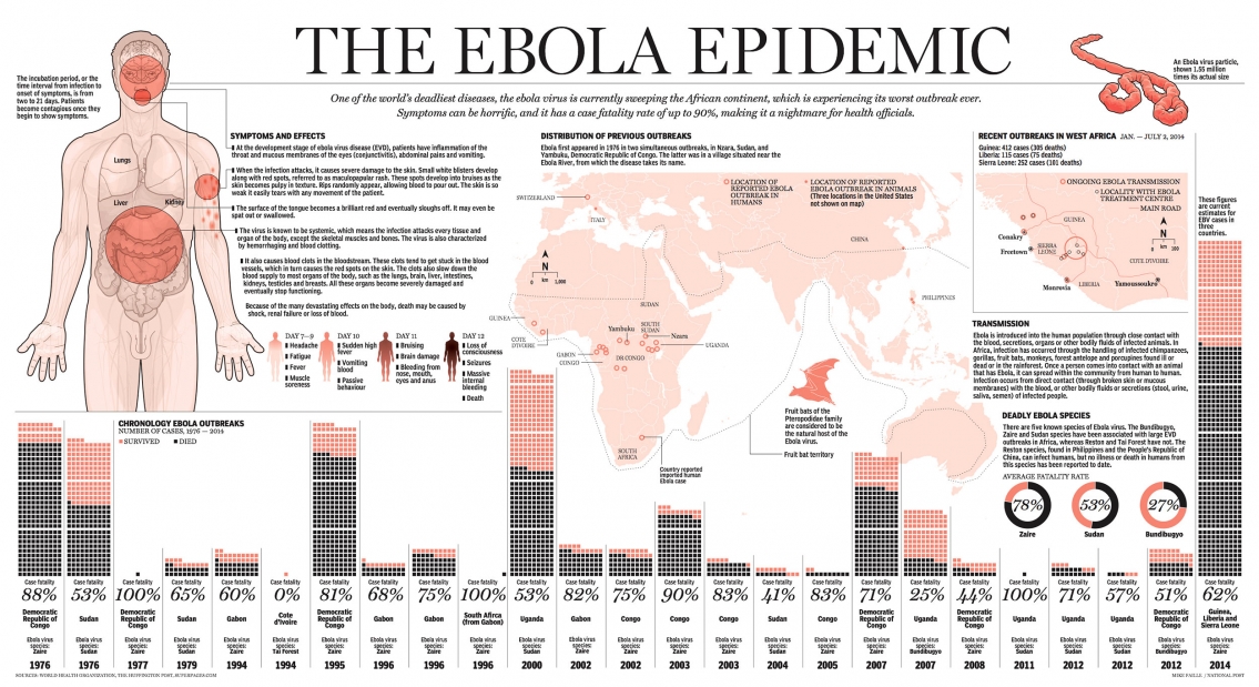 The Ebola Virus Epidemic Timeline Infographic