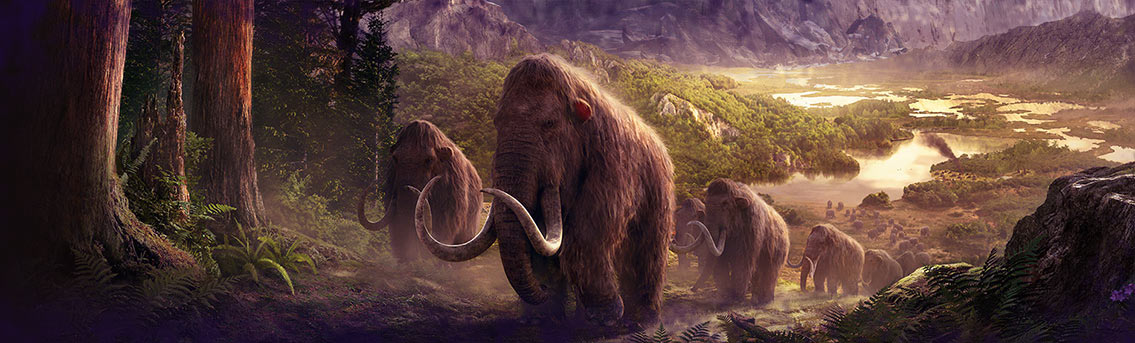 Woolly Mammoth Cloning Biology Infographic