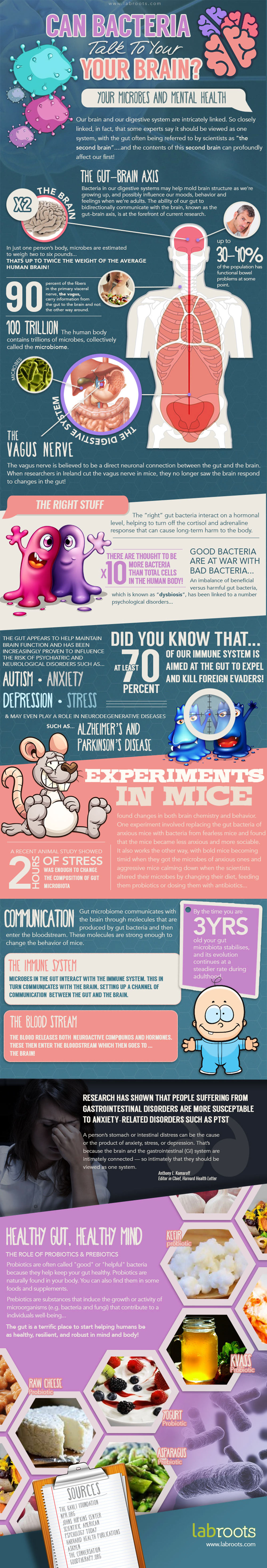 Gut Bacteria and Mental Health - Brain Infographic