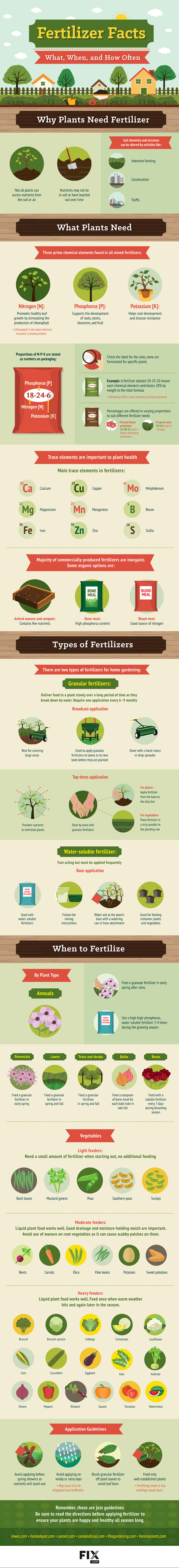 Fertilizer Facts What When and How Often Gardening Infographic