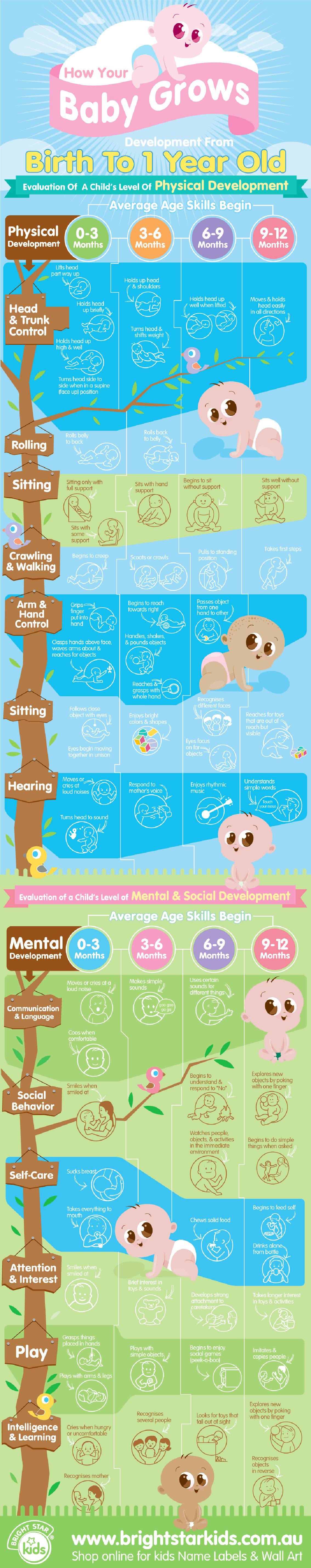 How Your Baby Grow From Birth to 1 Year Old Infographic How Your Baby Grow From Birth to 1 Year Old Infographic