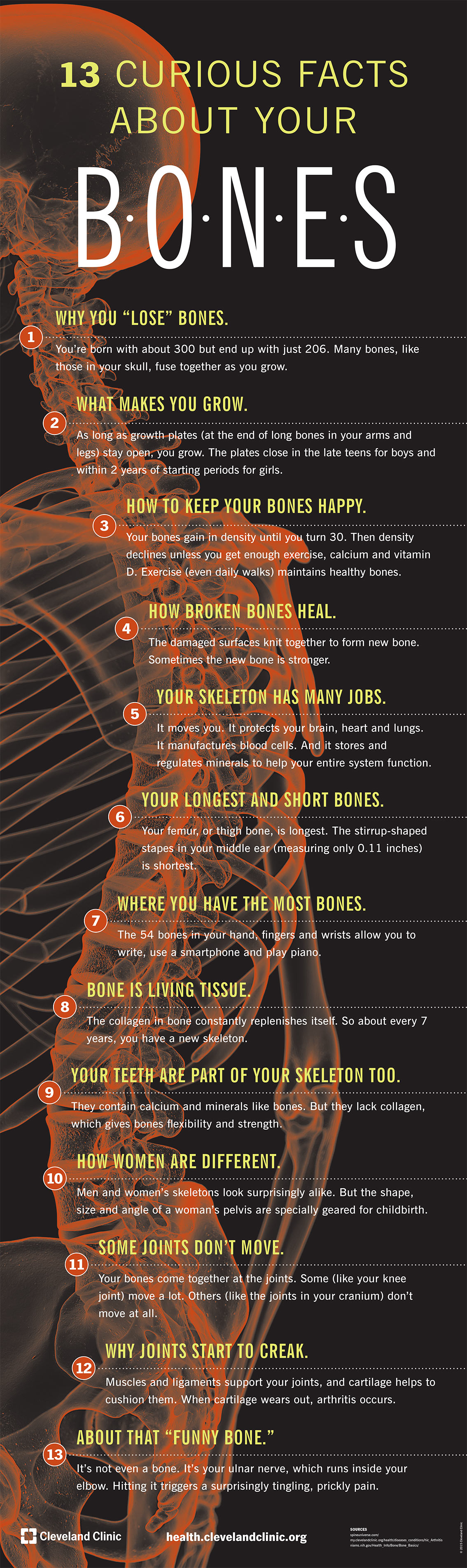 Curious Facts about Your Bones - Health Infographic