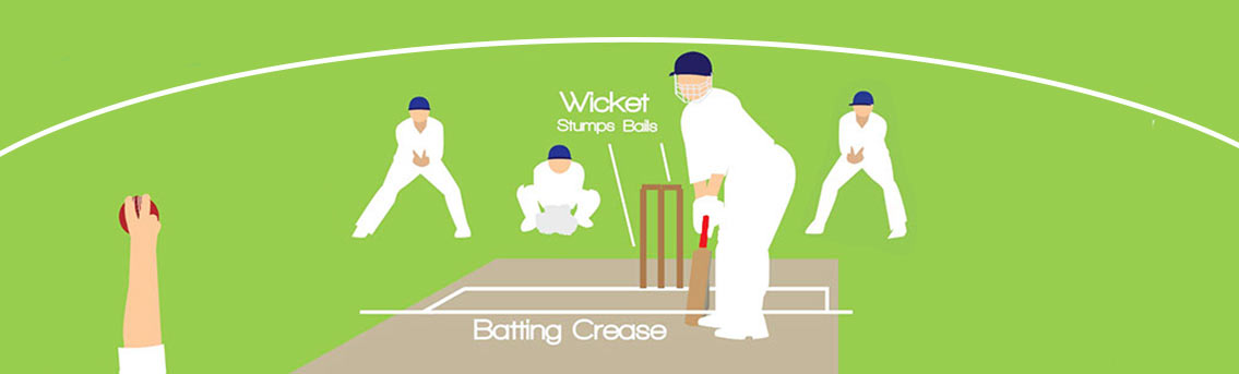 Game Rules of Cricket Infographic