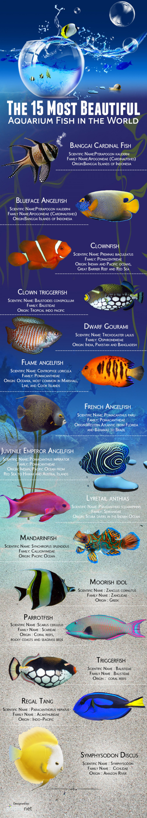 15 Most Beautiful Aquarium Fish in the World [Infographic]