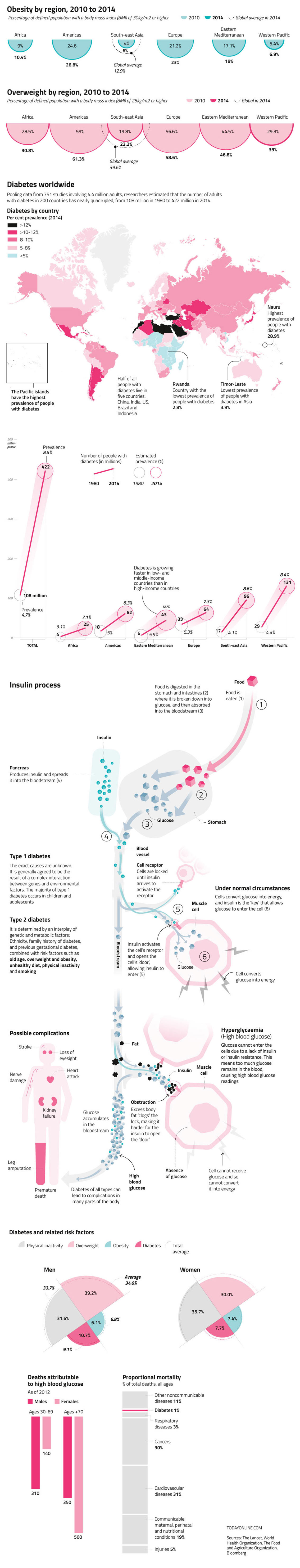 Worldwide Prevalence of Diabetes - Health Infographic