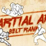 Martial Arts Belts in Order